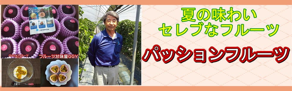 朝掘りたけのこ 熊本産 1箱 約4kg タケノコ 筍 竹の子 クール便発送