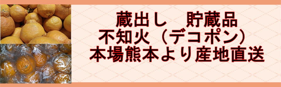 朝掘りたけのこ 熊本産 1箱 約4kg タケノコ 筍 竹の子 クール便発送