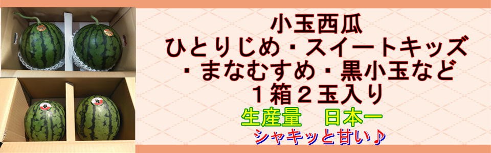朝掘りたけのこ 熊本産 1箱 約4kg タケノコ 筍 竹の子 クール