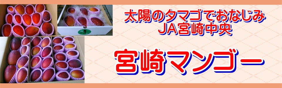 早掘り筍　4ｋｇ 朝掘りたけのこ 熊本産 1箱 約4kg タケノコ 筍 竹の子 クール