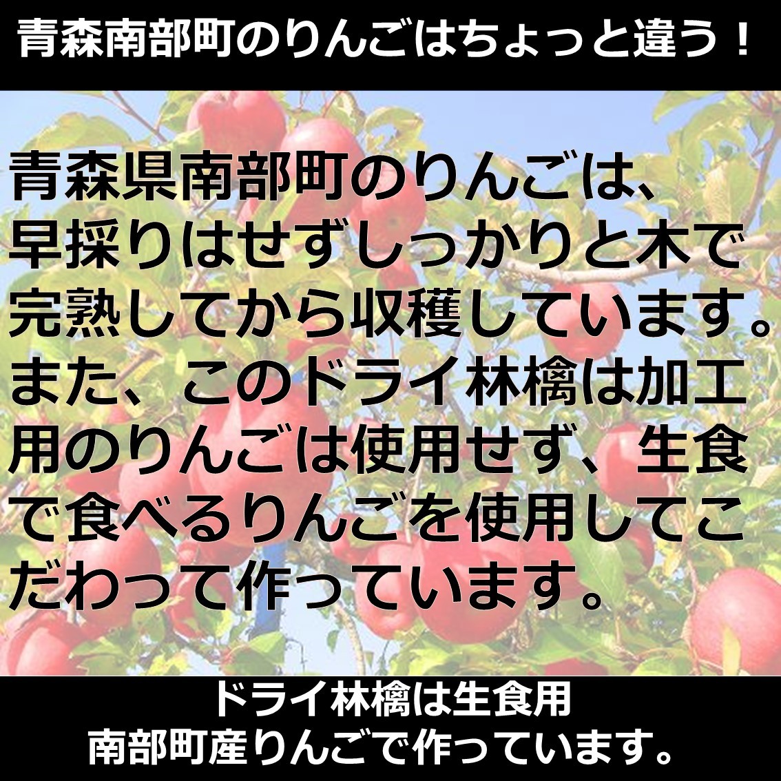 青森 りんご 林檎 リンゴ ドライ 半生 ビタミン 自然 子供 安心 安全 無添加 送料無料でお届けします。