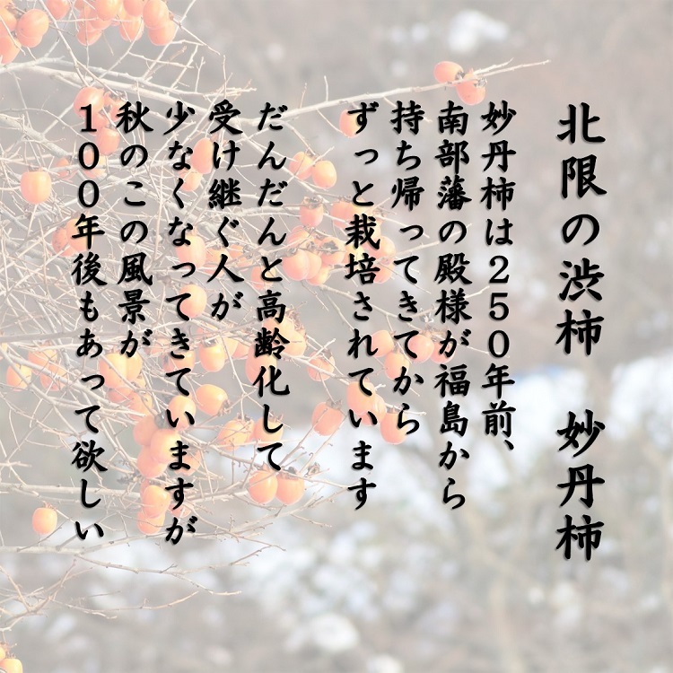 青森 柿 干柿 ドライフルーツ ビタミン 自然 子供 安心 安全 無添加 送料無料でお届けします。