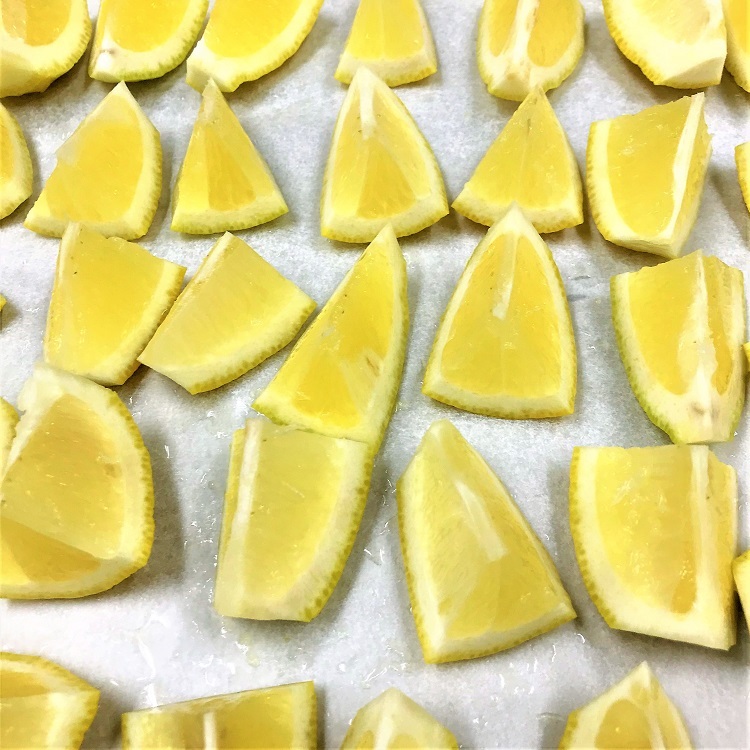 remon lemon レモン　れもん　氷 のかわりに サワー や ハイボール カクテル などに入れておうち時間を楽しんで 