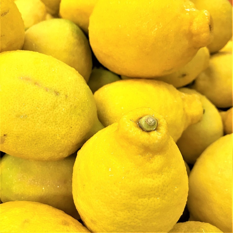 remon lemon レモン　れもん　氷 のかわりに サワー や ハイボール カクテル などに入れておうち時間を楽しんで 