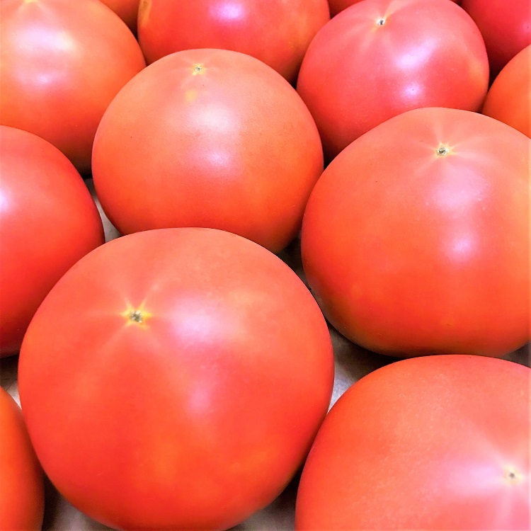 トマト とまと tomato 氷 のかわりに サワー や ハイボール カクテル などに入れておうち時間を楽しんで 