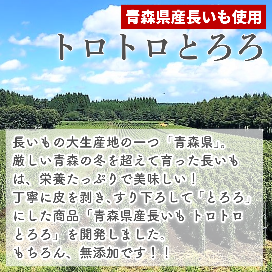 送料無料 青森県産長芋使用 トロトロとろろ 1...の詳細画像2