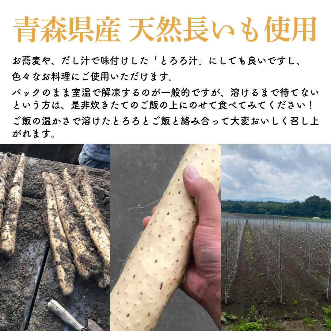 送料無料 青森県産長芋使用 トロトロとろろ 1...の詳細画像3