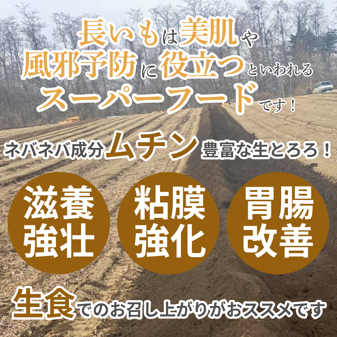 送料無料 青森県産長芋使用 トロトロとろろ 1...の詳細画像4