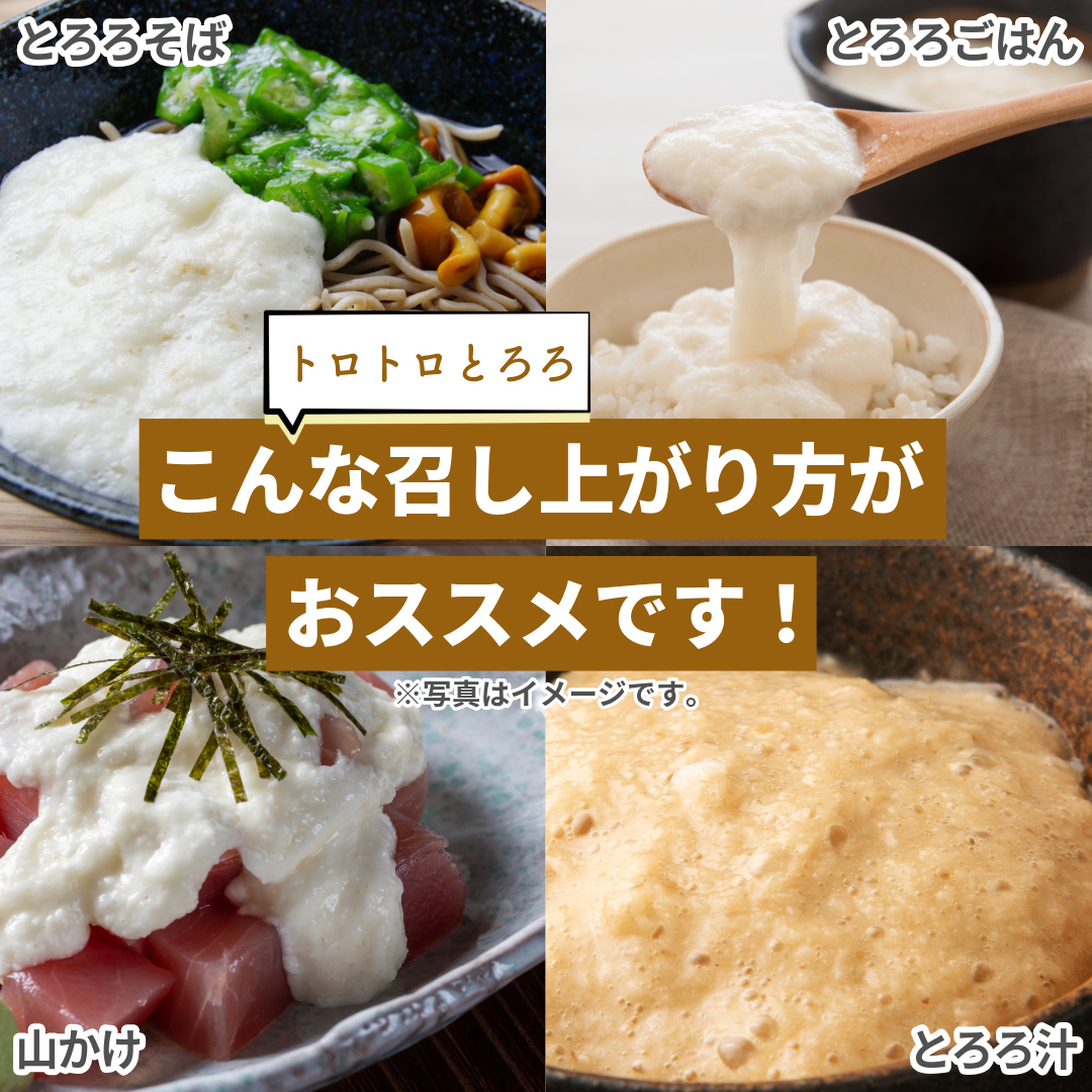 送料無料 青森県産長芋使用 トロトロとろろ 1...の詳細画像5