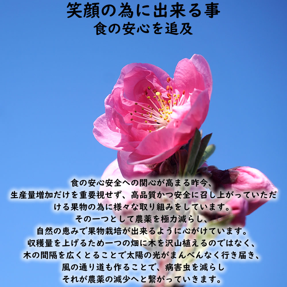 安全安心