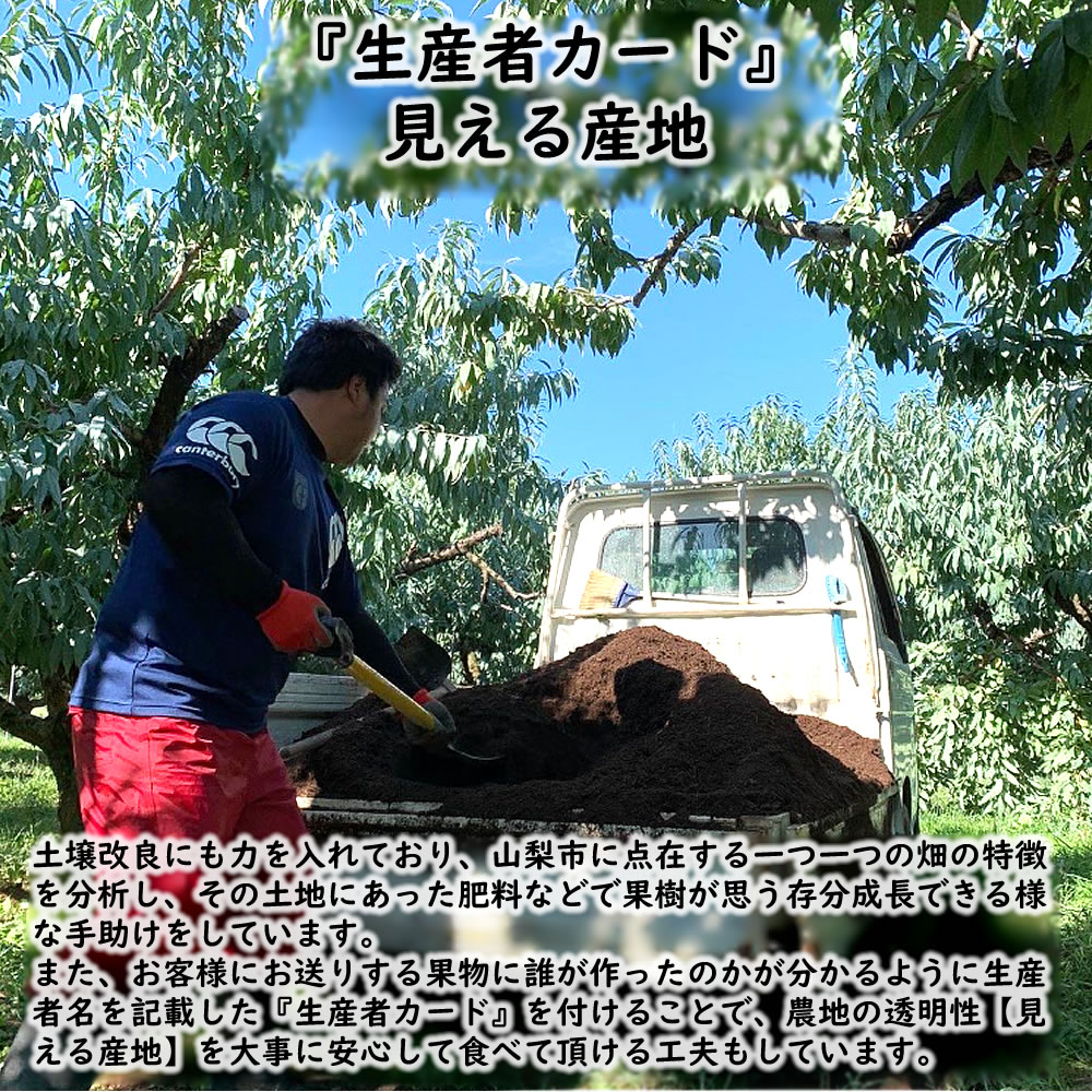 堆肥