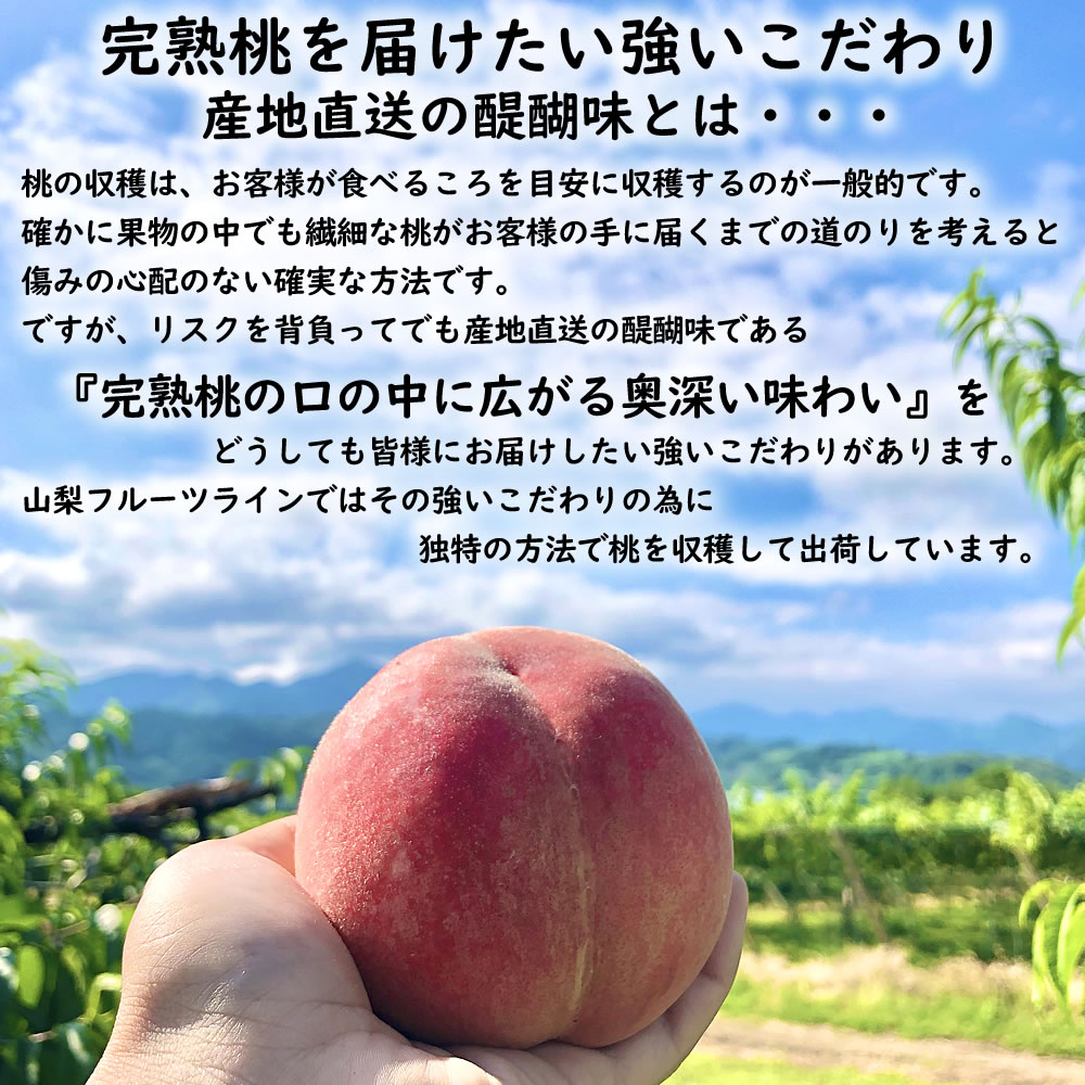 完熟桃