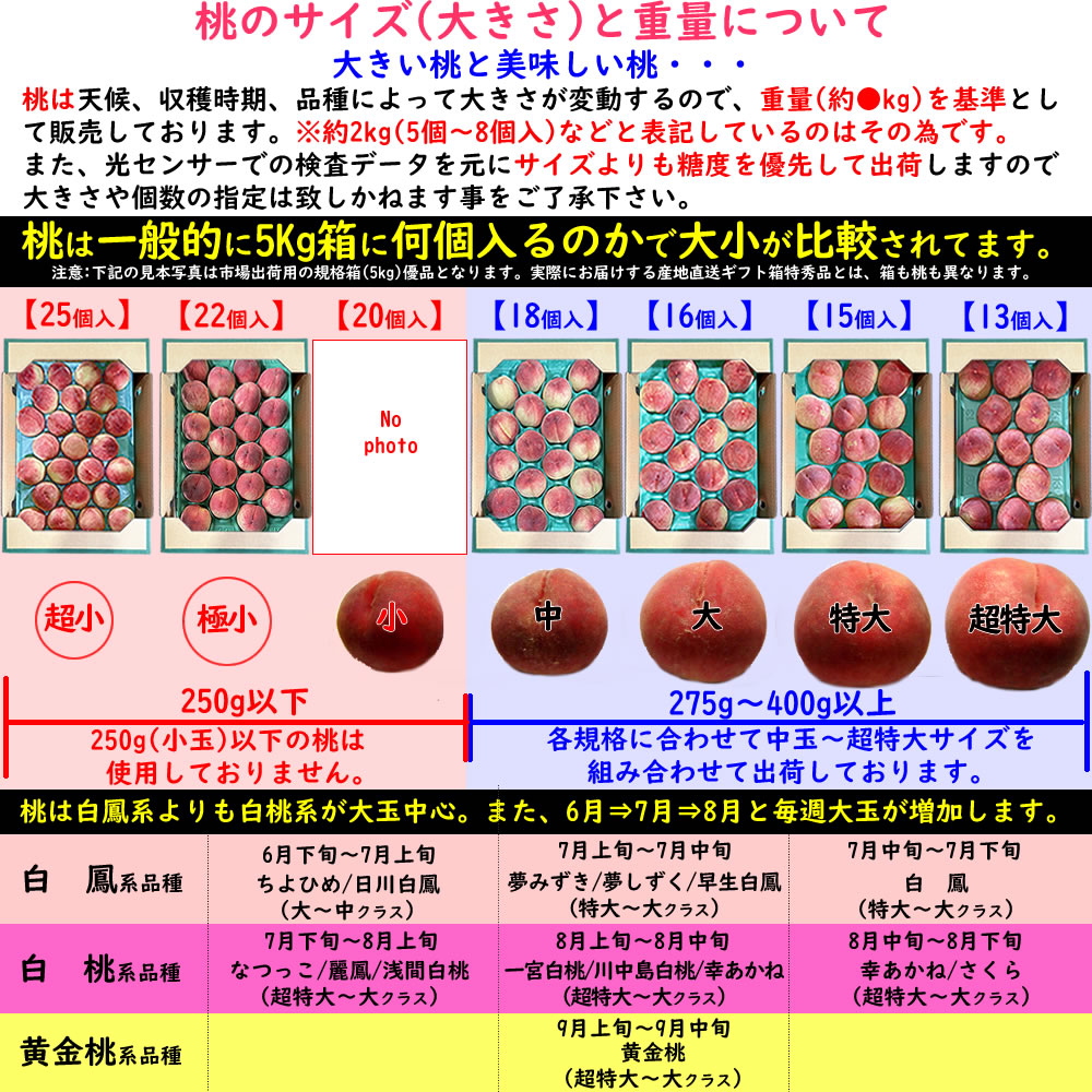 サイズ