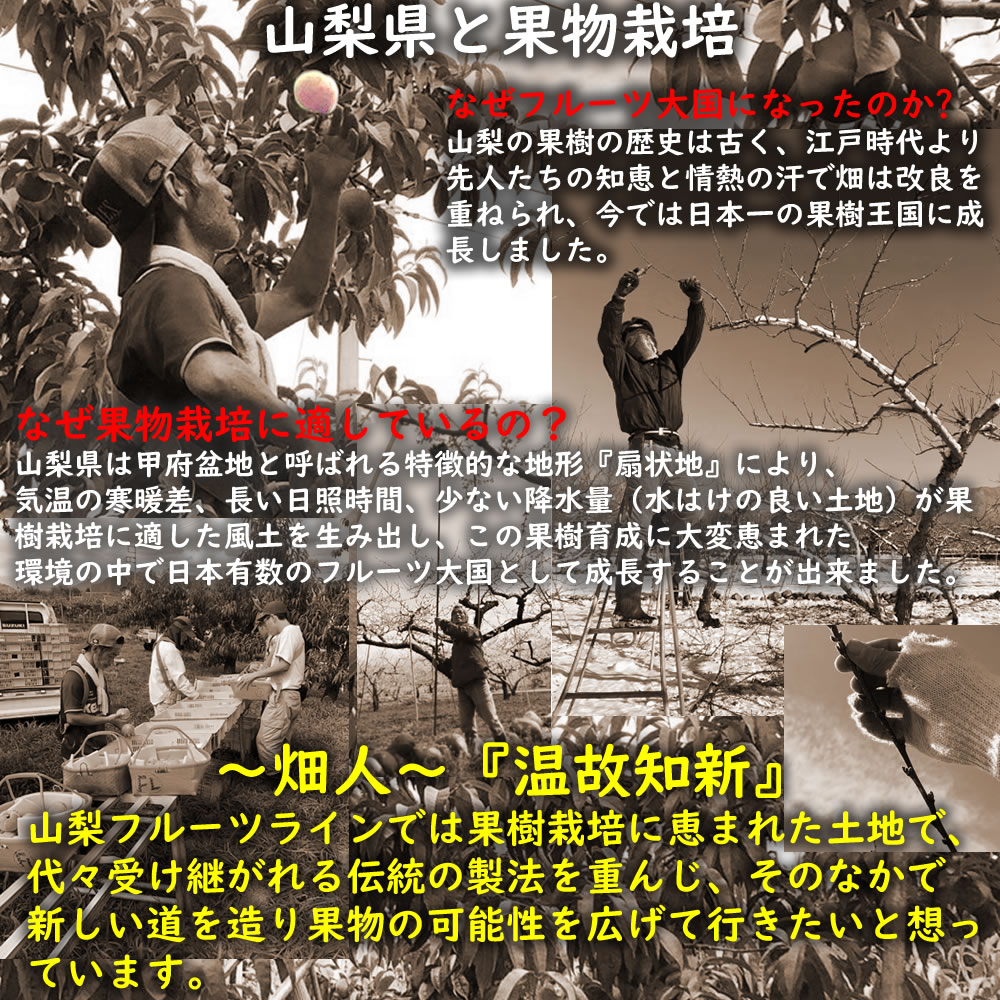 温故知新