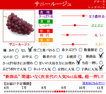 ぶどう 詰め合わせ おまかせ3種類セット 4kg 山梨県産 特産品