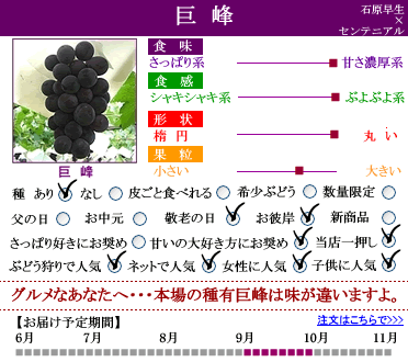 ケイ 梨、葡萄セット ケイ様専用 梨、葡萄セット