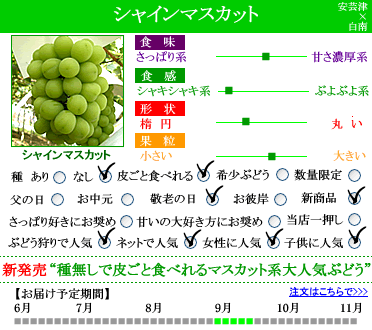 山梨県産 ぶどう⭐️食べ比べセット⭐️家庭用 箱込み約4.2キロ 楽天市場】サンシャインレッドとシャインマスカット 山梨県産