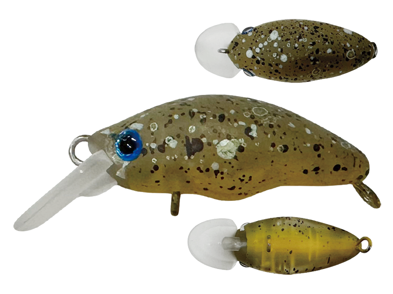 団子魚SR