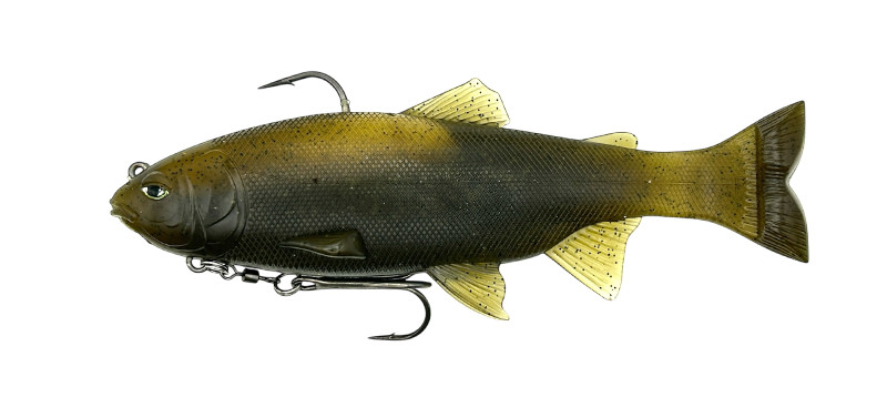 イマカツ レイジースイマーのおすすめ人気商品一覧 通販 - Yahoo