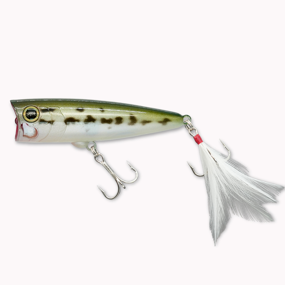 レヴォニック MOGOT Type FREE REVONIK モゴット : ふるきん釣具店