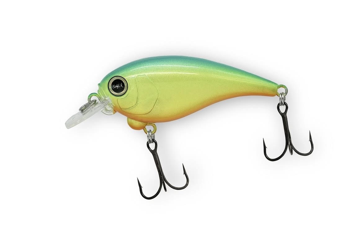 REVONIK サラモア　4色セット SaraMoa / サラモア】 SHAD / シャッド *2025 新色 #Revonik