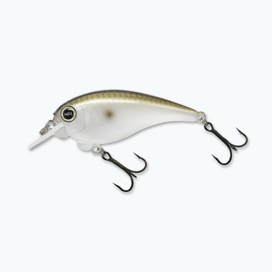 レヴォニック サラモア ドライボーン REVONIK SaraMoa DryBone : ふる