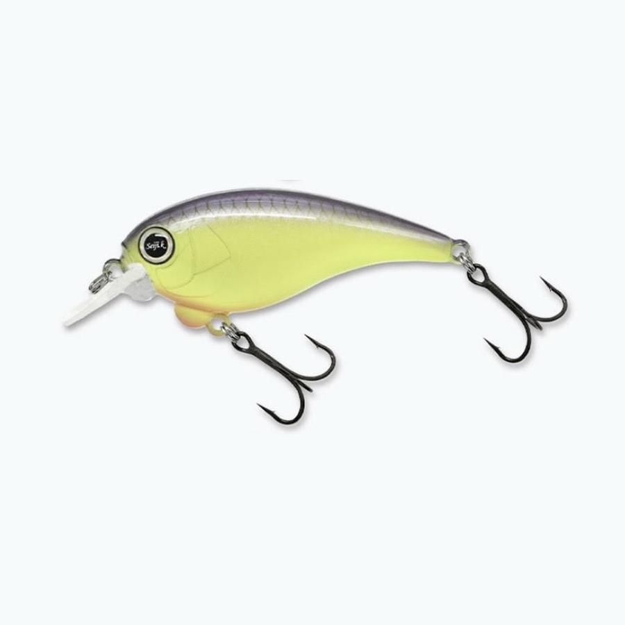 レヴォニック サラモア ドライボーン REVONIK SaraMoa DryBone : ふる