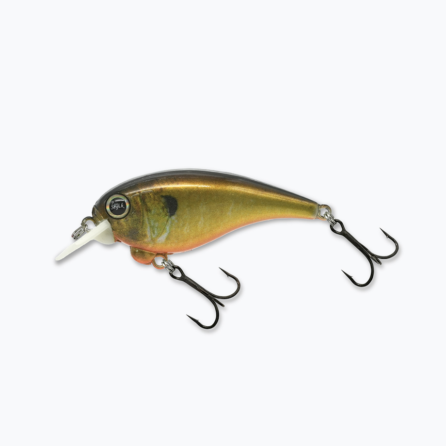 レヴォニック サラモア ドライボーン REVONIK SaraMoa DryBone : ふる