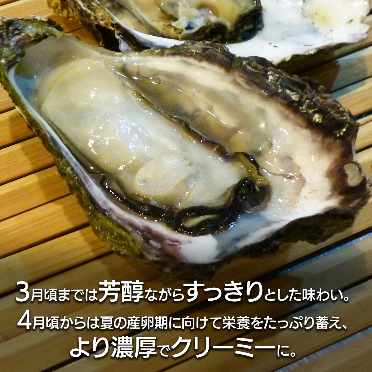 牡蠣味わいの変化について