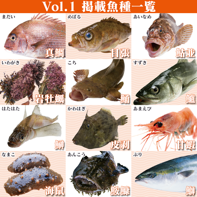 Fのさかなおもしろ図鑑Vol.1 : Fのさかな本舗 - 通販 - Yahoo!ショッピング