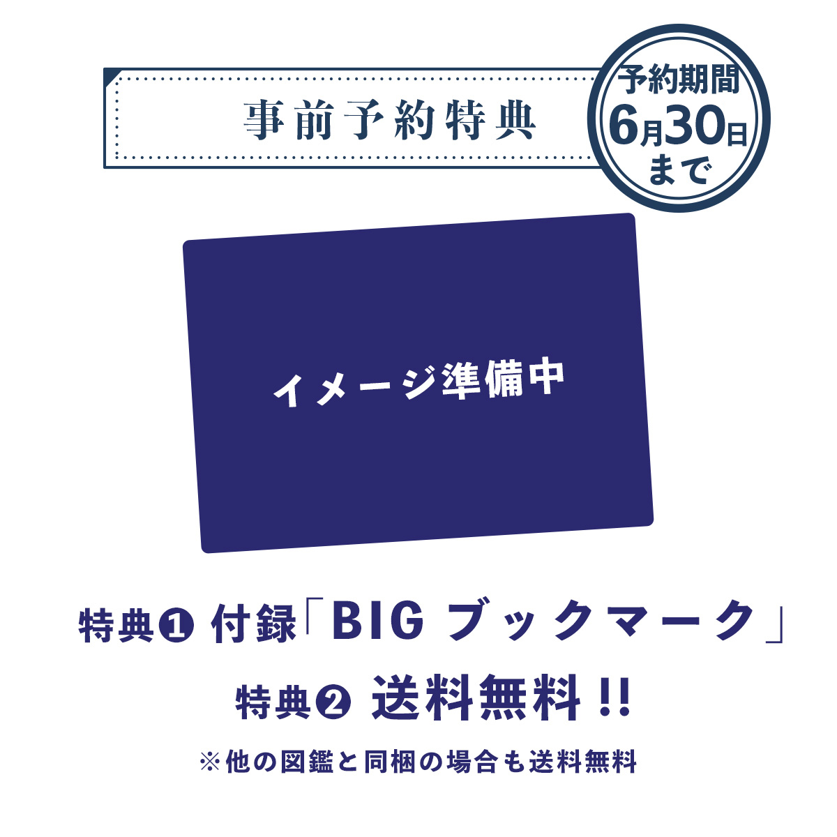 Fのさかなおもしろ図鑑Vol.5 事前予約特典