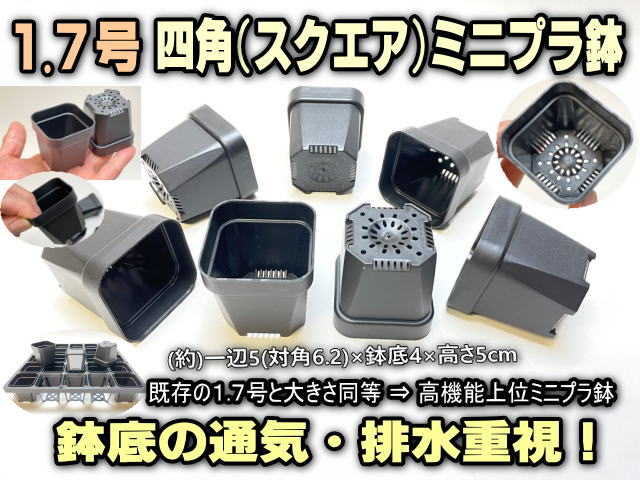 フラワーショップ江口Yahoo!店 - 1.7号プラ鉢(1.7号鉢/ミニプラ鉢/ミニ