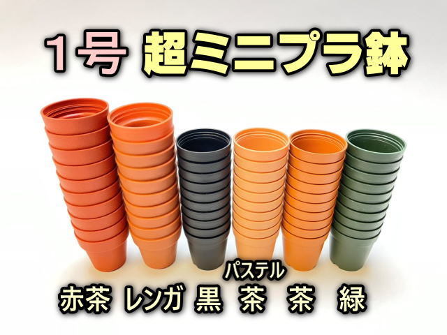 フラワーショップ江口Yahoo!店 - 1号プラ鉢(1号鉢/ミニプラ鉢/ミニ鉢