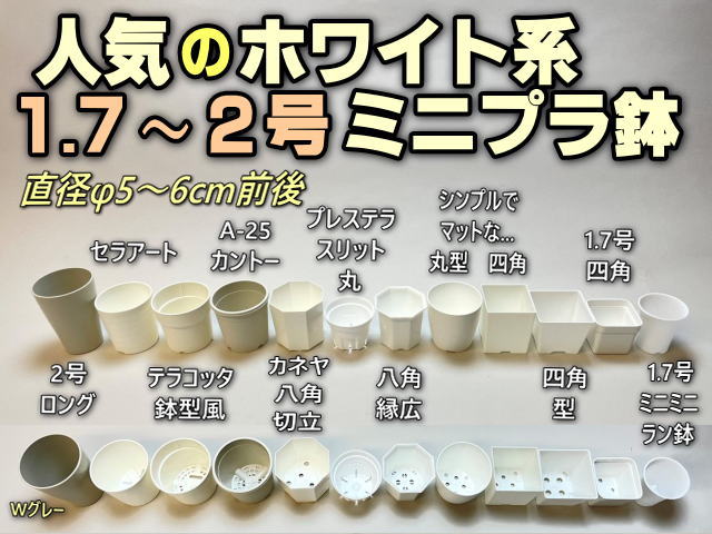 フラワーショップ江口Yahoo!店 - Yahoo!ショッピング