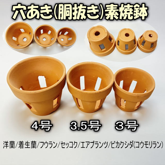 フラワーショップ江口Yahoo!店 - Yahoo!ショッピング