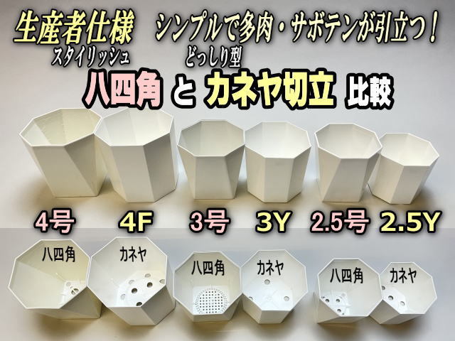 フラワーショップ江口Yahoo!店 - 八四角(八角型底四角鉢)白プラ鉢