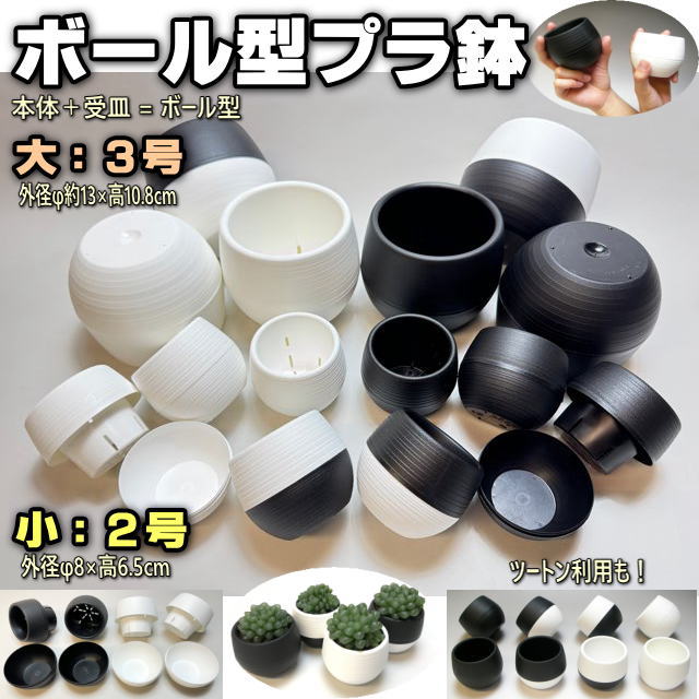 フラワーショップ江口Yahoo!店 - Yahoo!ショッピング