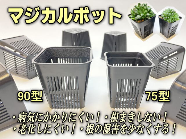 マジカルポット75型(小) (2号中深相当)※穴メッシュ鉢＠全面スリット