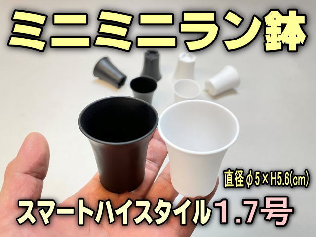 フラワーショップ江口Yahoo!店 - 1.7号プラ鉢(1.7号鉢/ミニプラ鉢/ミニ