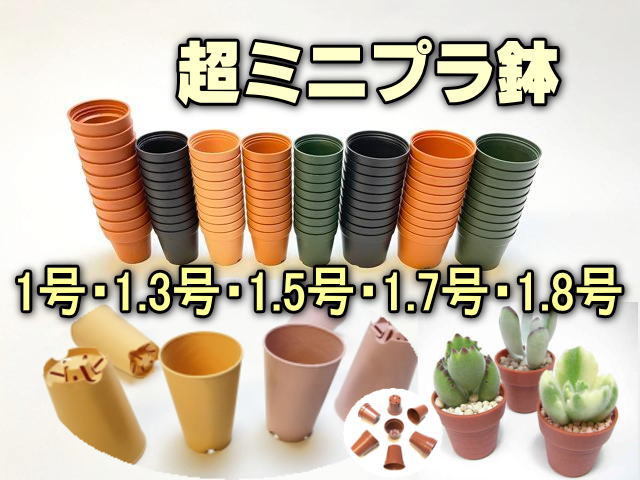 フラワーショップ江口Yahoo!店 - ミニプラ鉢-1号鉢1.5号鉢1.7号鉢1.8号