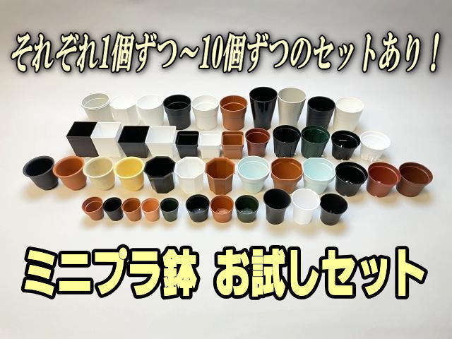 フラワーショップ江口Yahoo!店 - お買い得お試しセット品｜Yahoo
