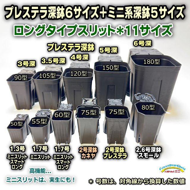 フラワーショップ江口Yahoo!店 - Yahoo!ショッピング