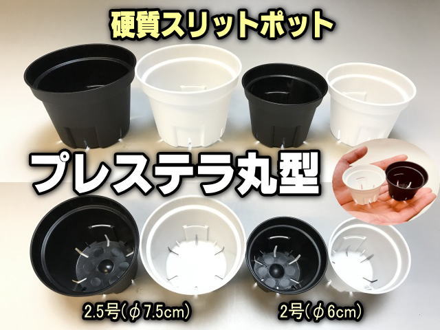 スリット鉢-5号黒(CSM-150)ブラック＠多肉植物・塊根植物コーデックス