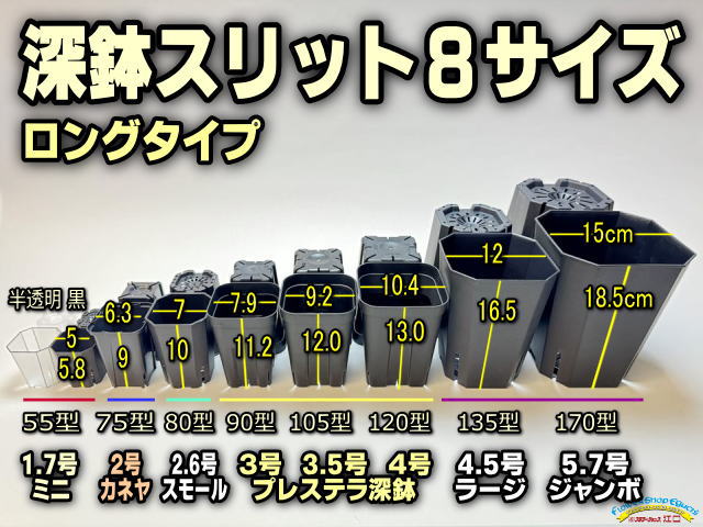 フラワーショップ江口Yahoo!店 - プレステラ硬質スリット鉢＋カネヤ