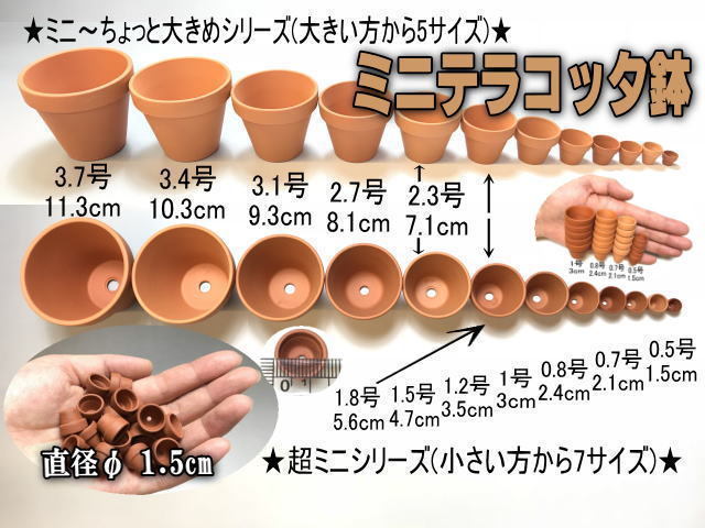 フラワーショップ江口Yahoo!店 - Yahoo!ショッピング