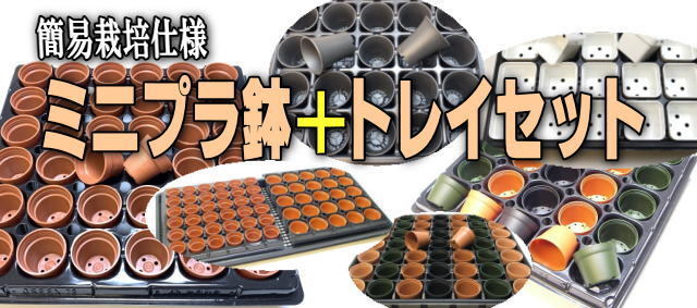 フラワーショップ江口Yahoo!店 - Yahoo!ショッピング