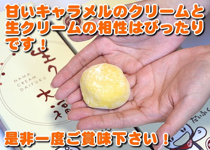 大福餅2個入【直径約9.0cm】 ｜つるおか菓子処木村屋オンライン