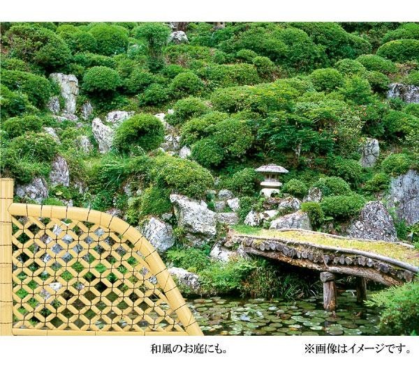 （新品,未開封） 八ツ矢工業(YATSUYA) 白竹光悦寺垣 56770 【FK5435113305】(19531円)