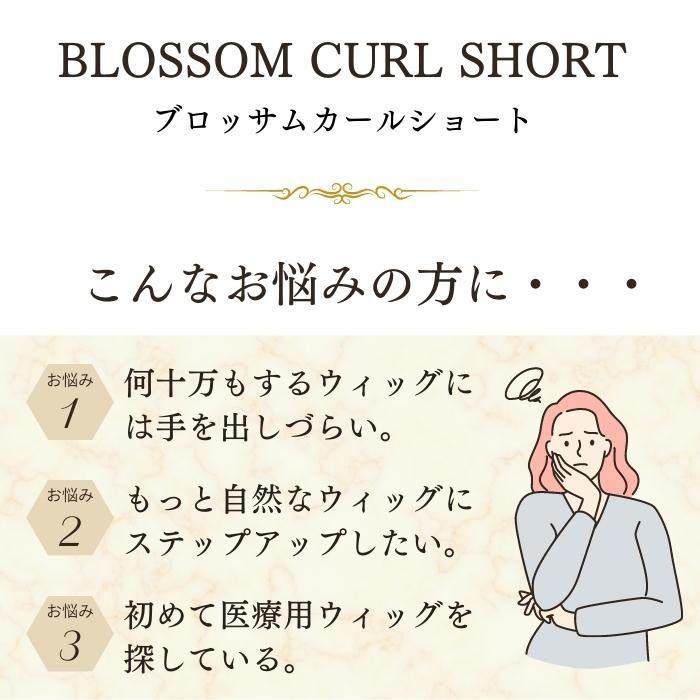 【正規販売店】 プリシラ BEAUTE 総手植えオールウィッグ ブロッサムカールショート 人毛ミックス グレイヘア BA-100-ZGH 【ZYX6794780395】(24417円)