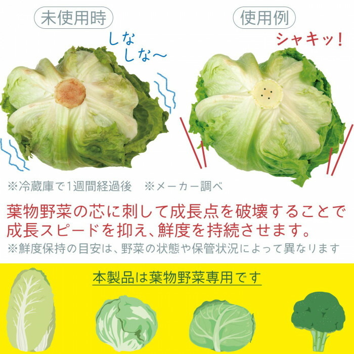 野菜鮮度キーパー 2個組 長持ち 鮮度 持続 葉物野菜専用